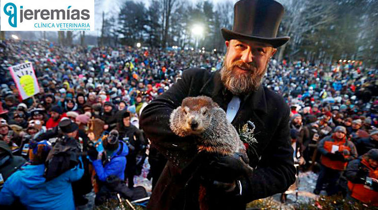 Día de la Marmota 2019