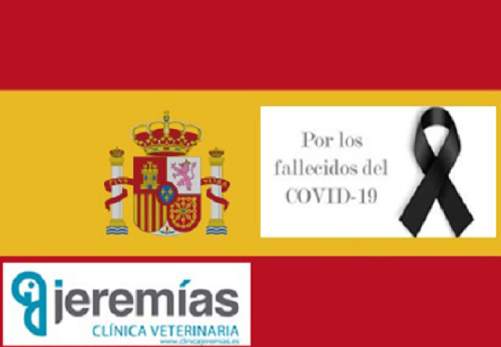 Funeral de Estado por COVID 19 - Coronavirus