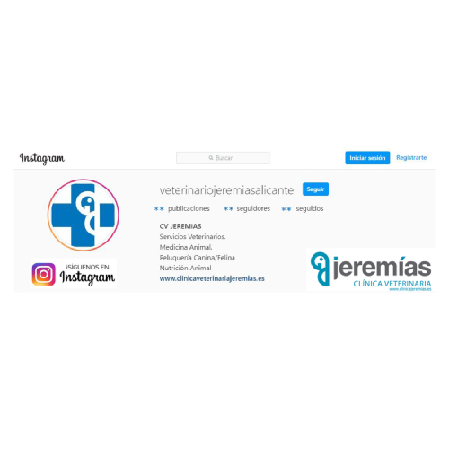 ¡ Síguenos en Instagram !