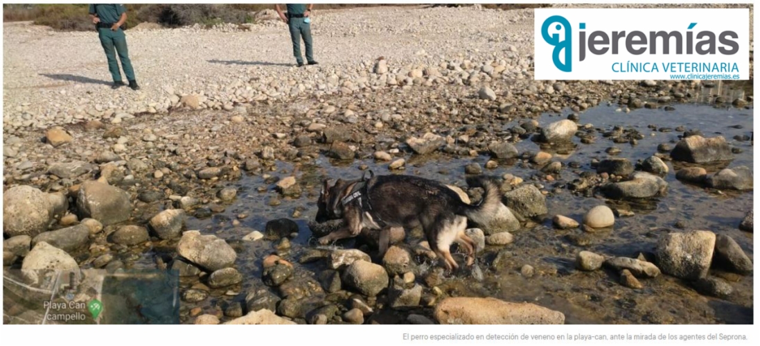 ¿ Y si un día de playa te arruinara tus vacaciones?