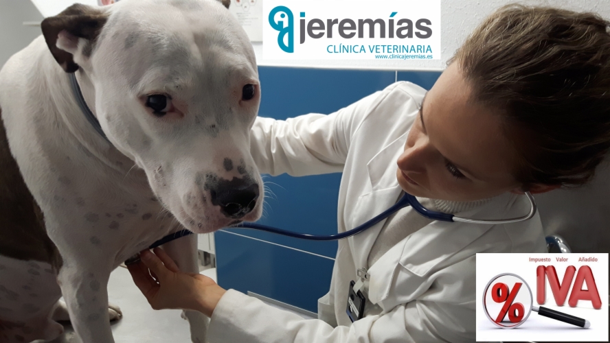 ¿Y si el veterinario costara menos? Vota por bajar el IVA