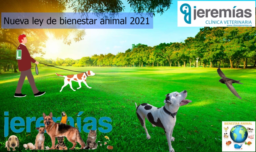 Nueva ley de protección y bienestar animal 2021 - Las 24 Prohibiciones