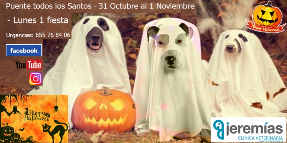Halloween Jeremías 2021 – 31 de Octubre – Puente todos los Santos