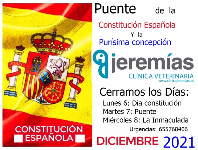 Puente Constitución Española 2021