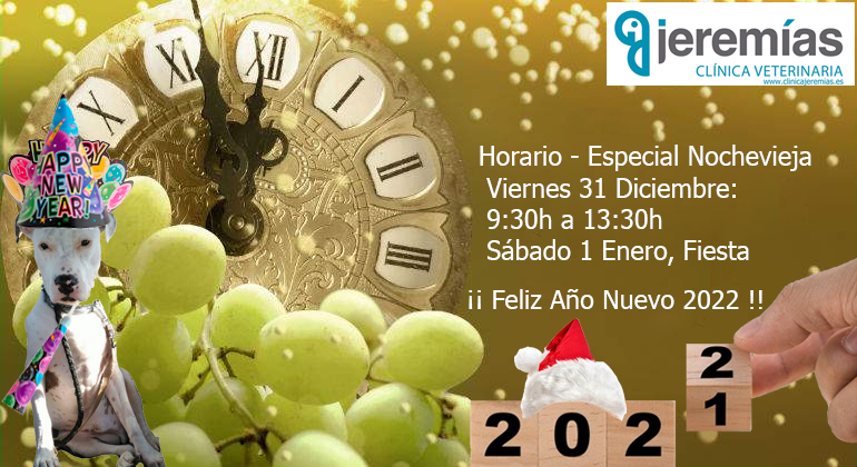 ¡¡ Nochevieja 2021 y Feliz Año Nuevo 2022 !!