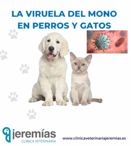 Viruela del mono en perros y gatos