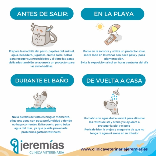 Lista de playas de España para ir con tu perro y los mejores consejos para ir a la playa con perros de la Clínica veterinaria Jeremias Alicante.