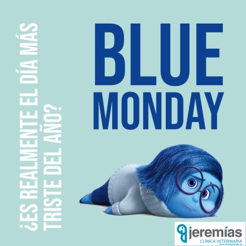 16 Enero: Blue Monday ¿El día mas triste siendo mañana San Antón? El patrón de los animales