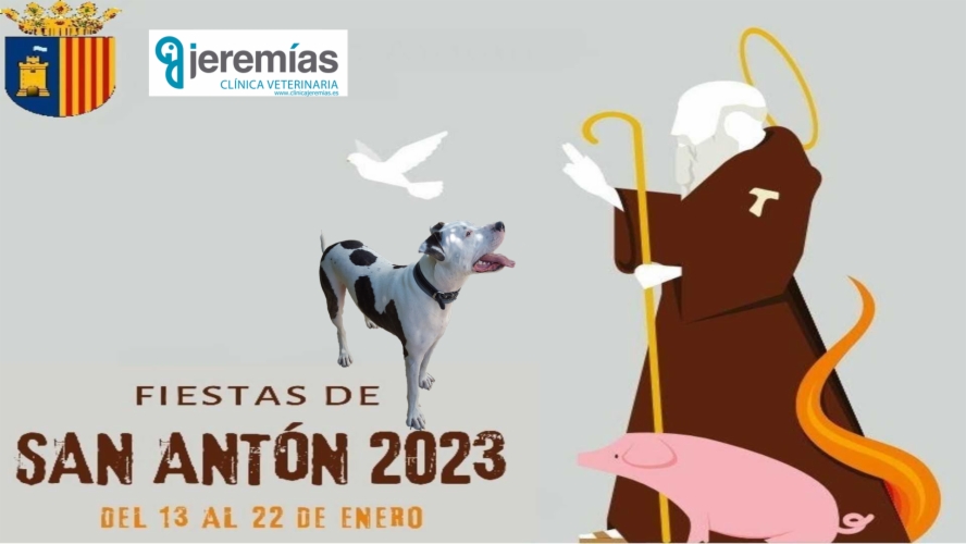 Bendición Mascotas Alicante- San Antón 22/1/2023